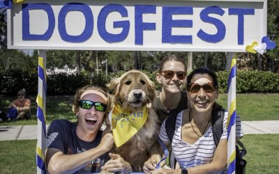 three smiling adults with a golden retriever in a yellow dogfest bandana in a photo booth that says DOGFEST