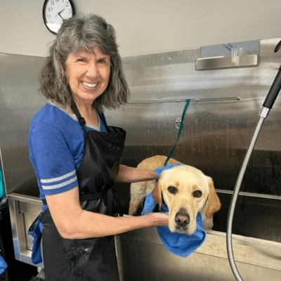 A smiling woman with shoulder-length gray hair wearing a blue shirt and black apron is bathing a yellow dog in a grooming station, using a blue towel to dry the dog, with a metallic backdrop and a clock on the wall in the background.
