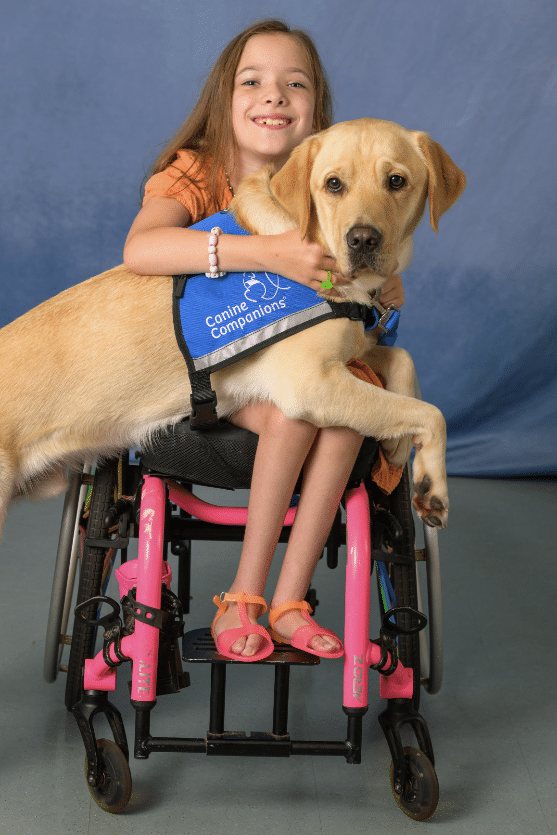 A young girl in a wheelchair hugging a service dog wearing a "Canine Companions" vest.